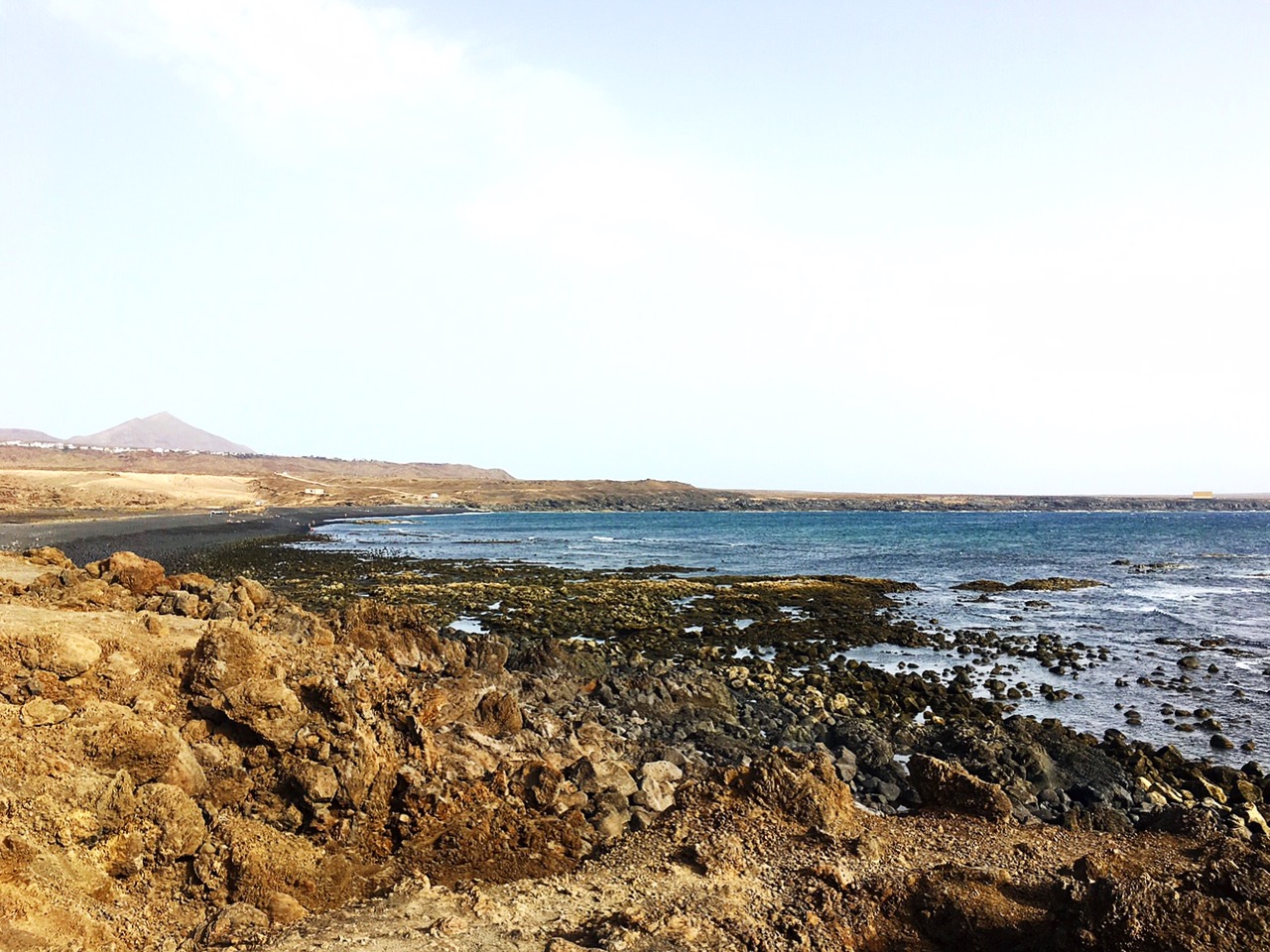 una dose quotidiana di bellezza